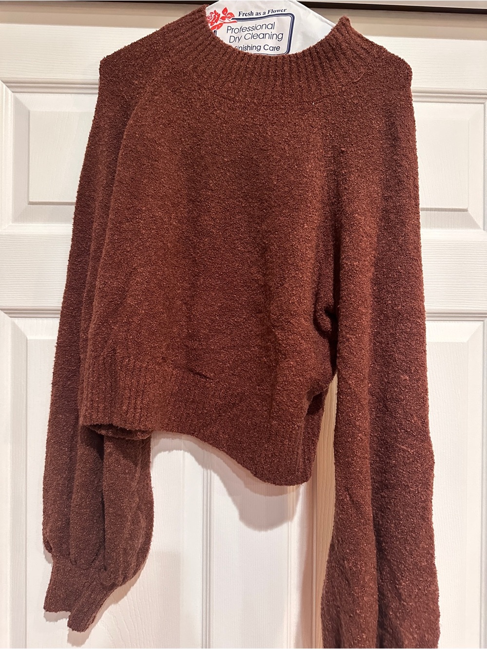 Vici Rust Brown Cozy Crop Crewneck Sweater